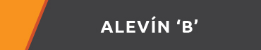 Alevín B
