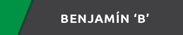 Benjamín B
